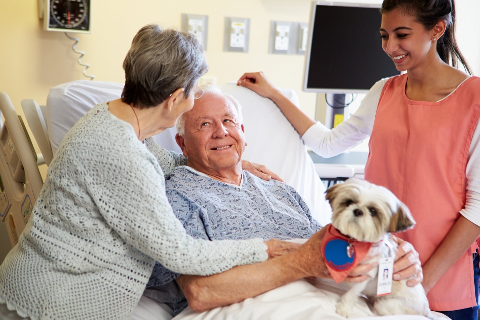 “Discover the Secret to Senior Happiness: The Magic of Support Pets”