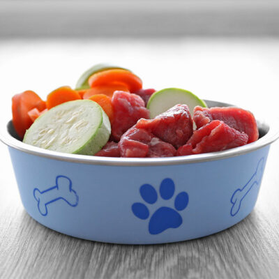 4 Meal Options for Dogs with Sensitive Stomachs