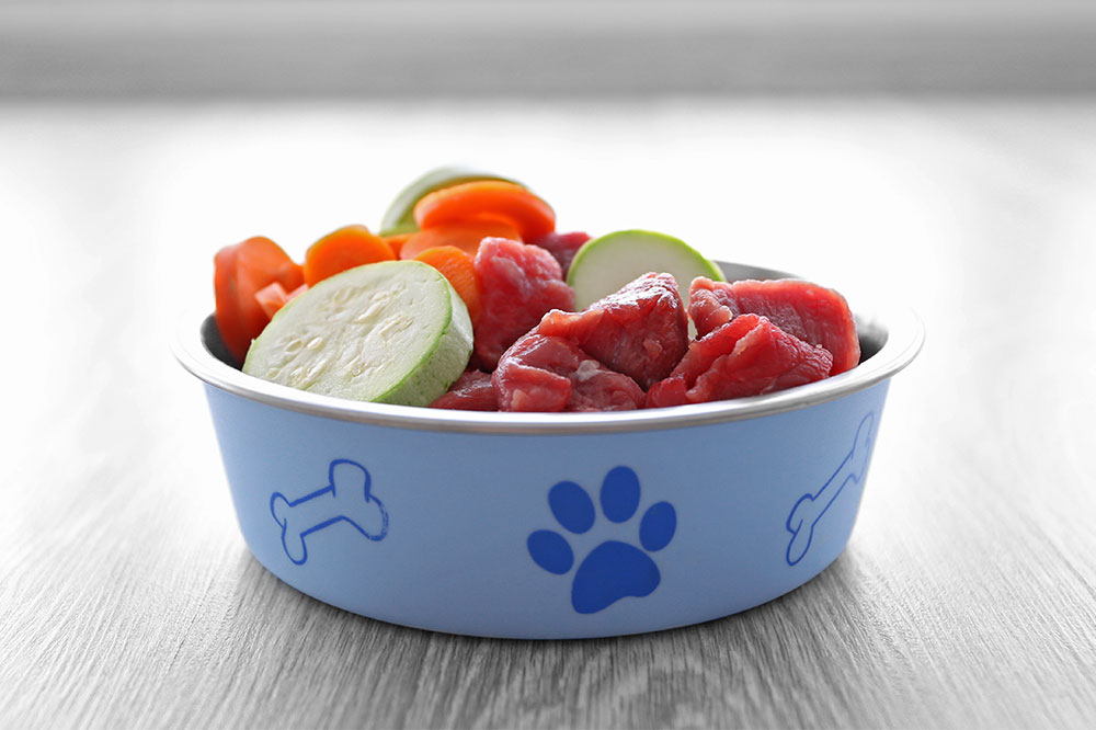 4 Meal Options for Dogs with Sensitive Stomachs